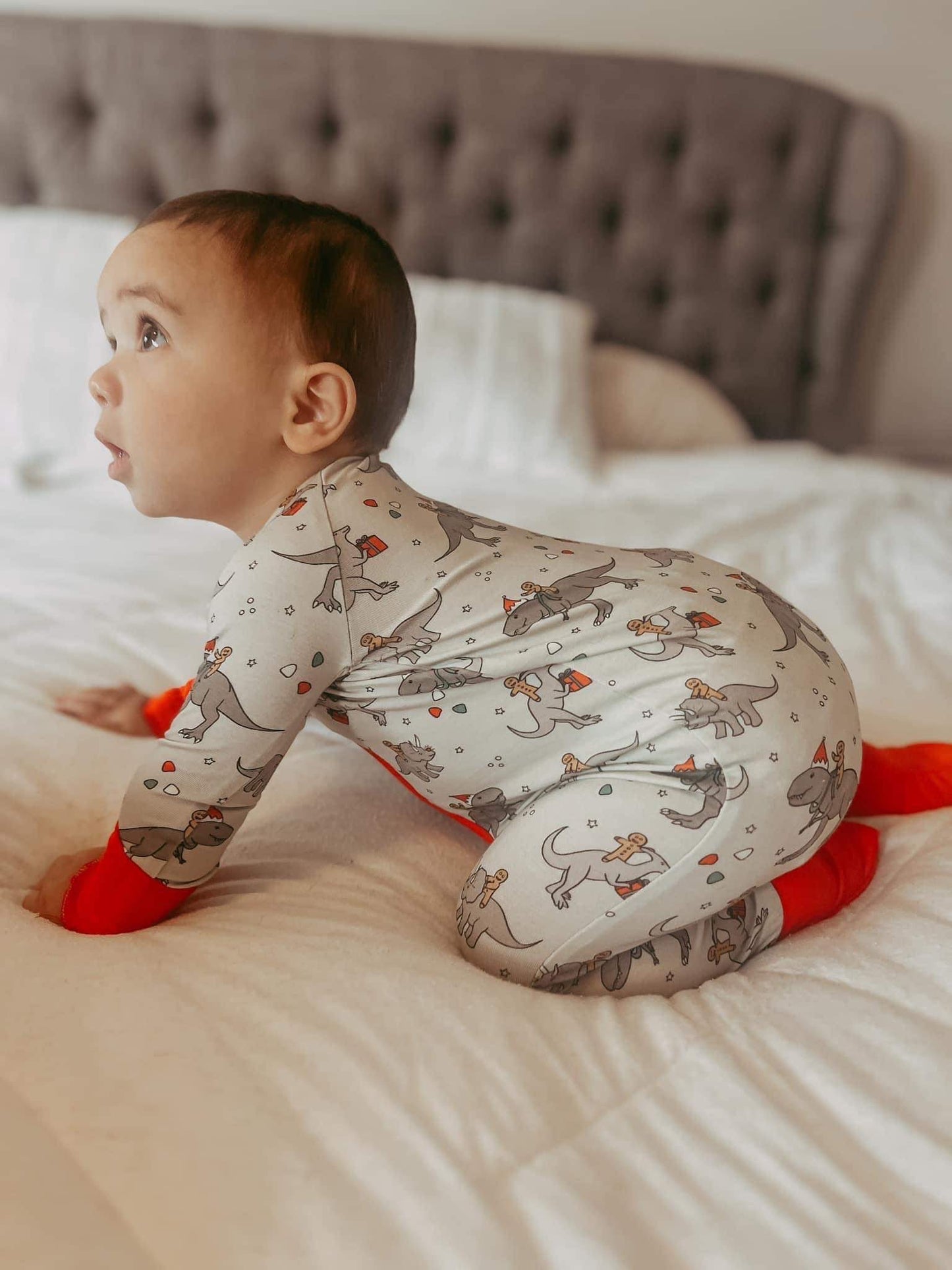 Prehistoric Presents Zippy Bamboo Pajamas